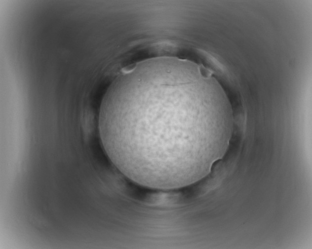 X0000115340323200911091310