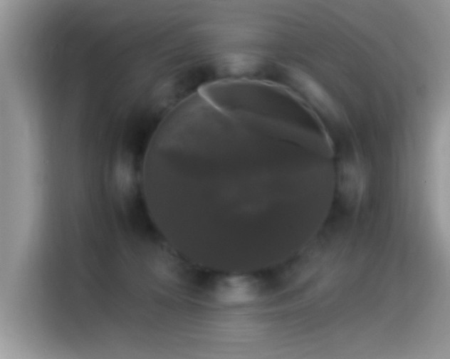 X0000115340324200911091310