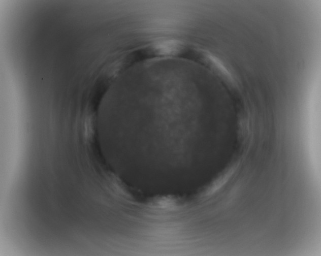 X0000115340325200911091310