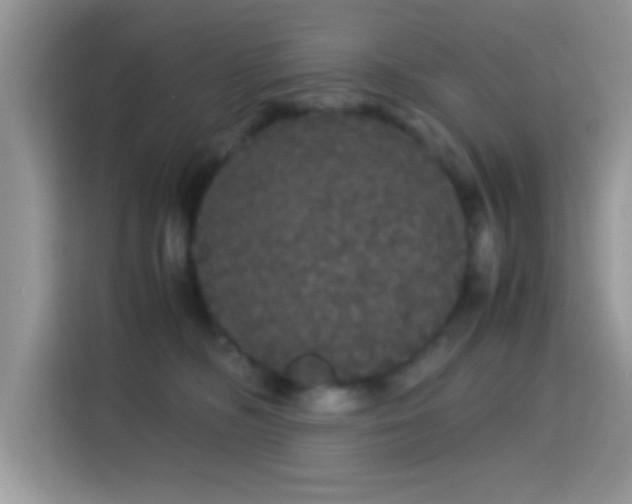X0000115340326200911091310