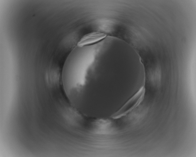 X0000115340328200911091310