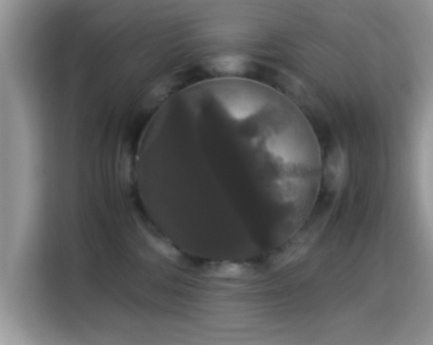 X0000115340330200911091310