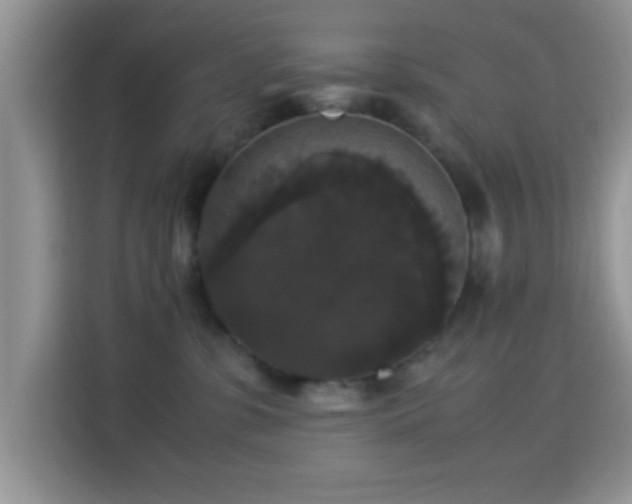 X0000115340331200911091310