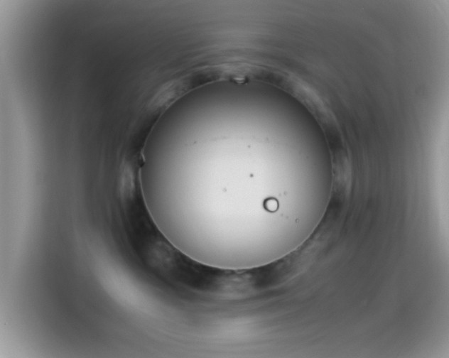 X0000115340333200911091310