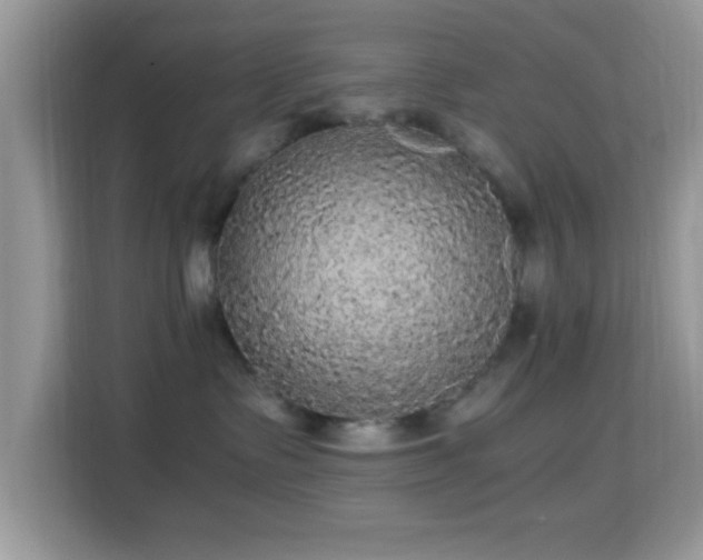X0000115340335200911091310