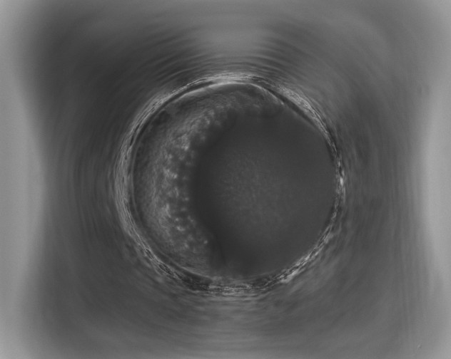 X0000115340337200911091309