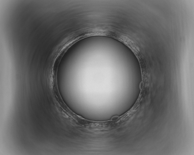 X0000115340338200911091309