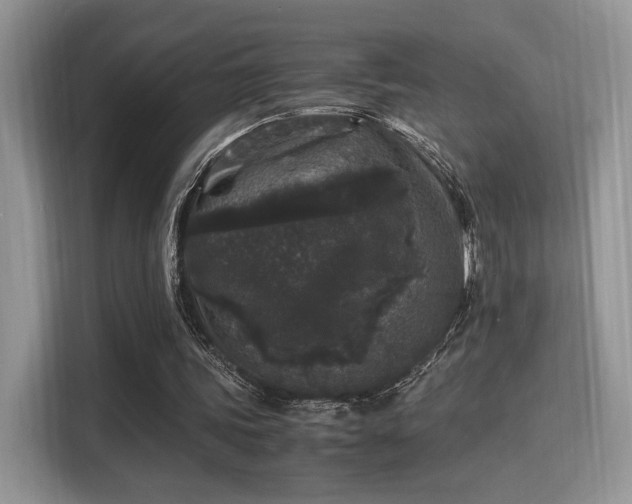 X0000115340339200911091309