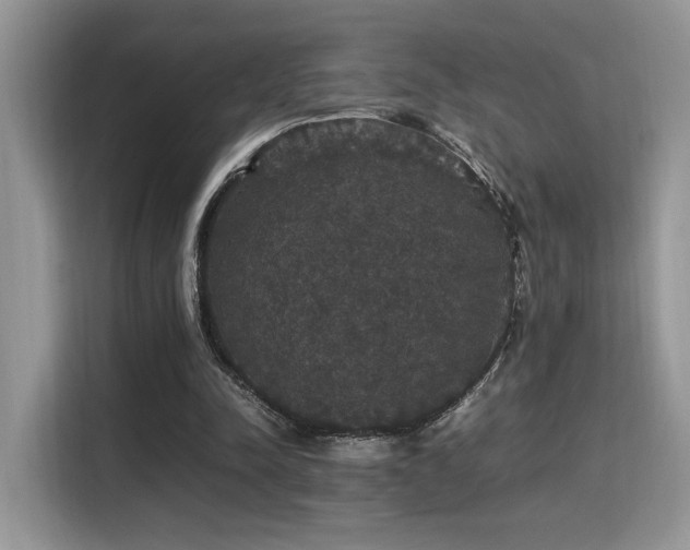 X0000115340342200911091309