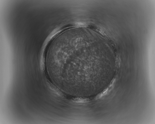 X0000115340343200911091309