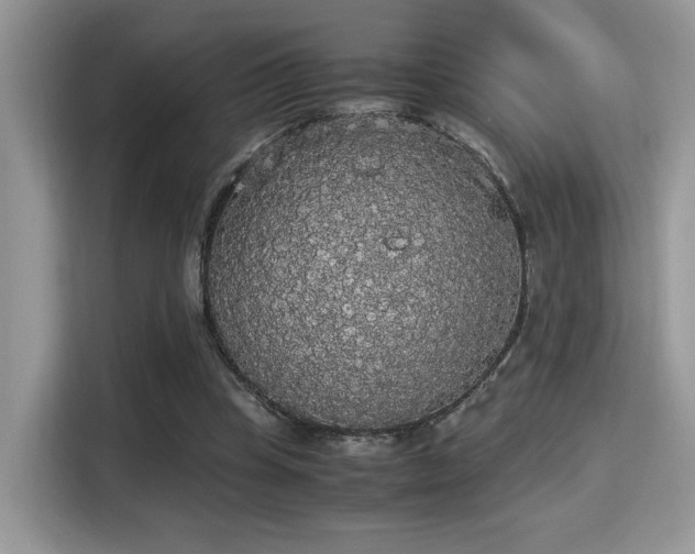 X0000115340345200911091309