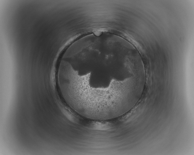 X0000115340346200911091309