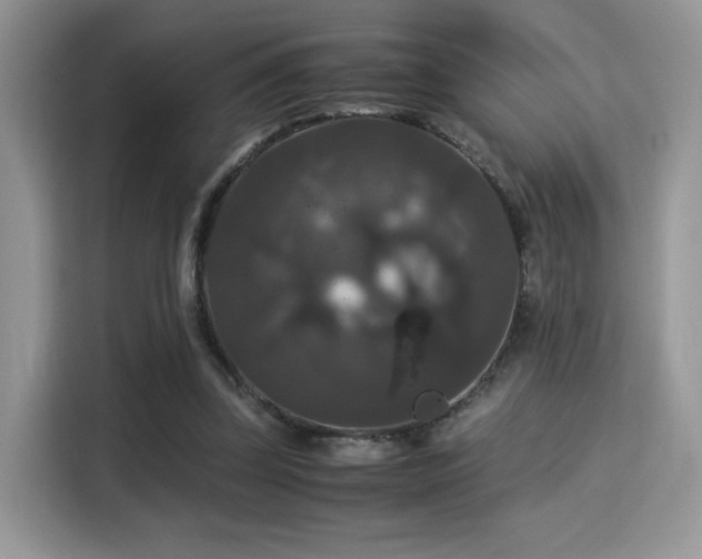 X0000115340347200911091309
