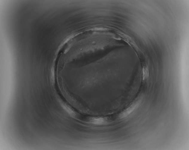 X0000115340349200911091309