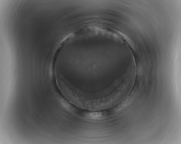 X0000115340353200911091309