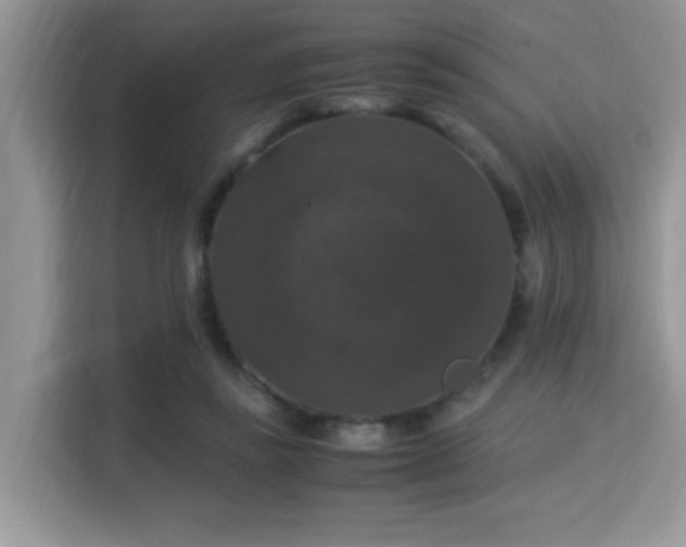 X0000115340355200911091310