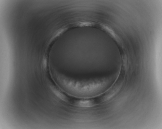 X0000115340357200911091310