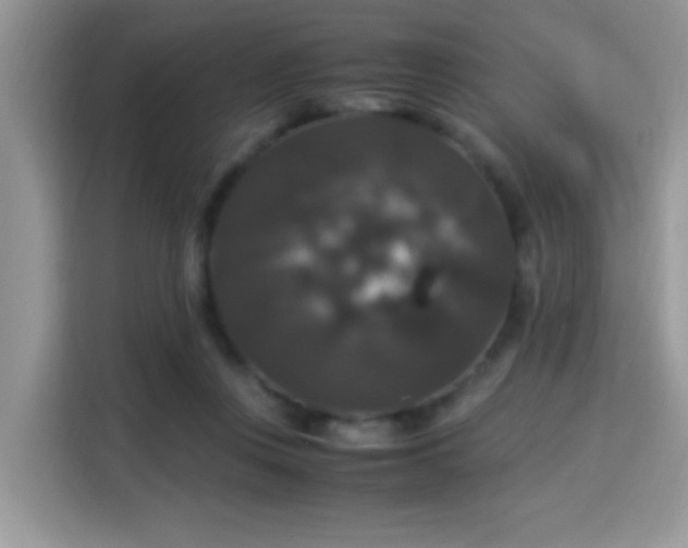 X0000115340359200911091310
