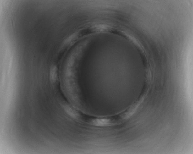 X0000115340361200911091310