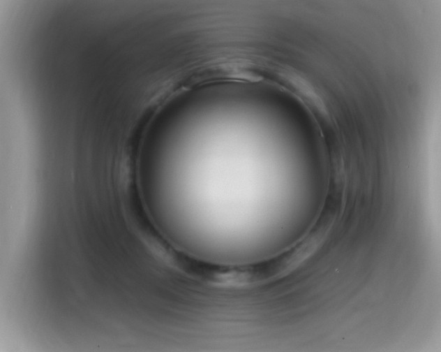 X0000115340362200911091310