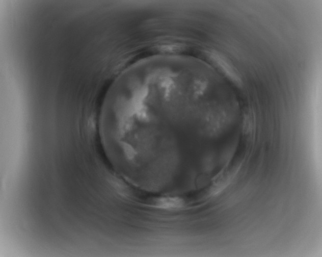 X0000115340363200911091310