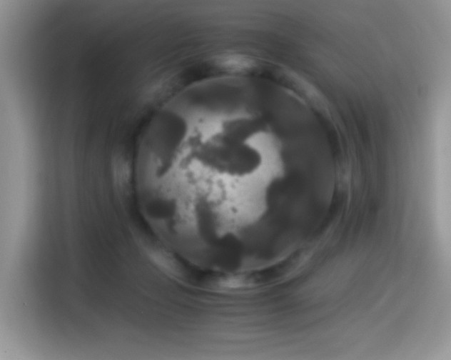 X0000115340365200911091310