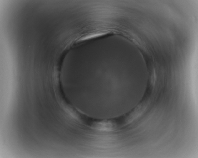 X0000115340366200911091310