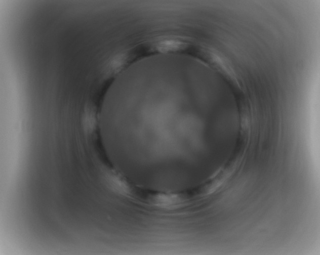 X0000115340367200911091310