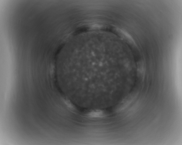 X0000115340369200911091310
