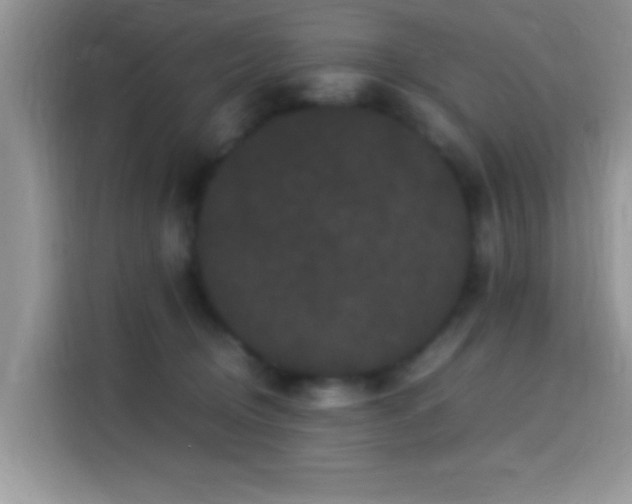 X0000115340370200911091310