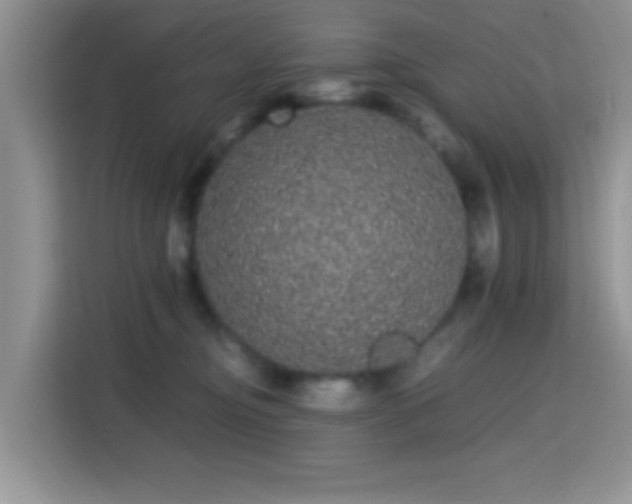X0000115340374200911091310