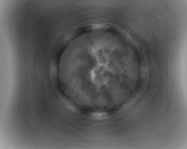 X0000115340375200911091310