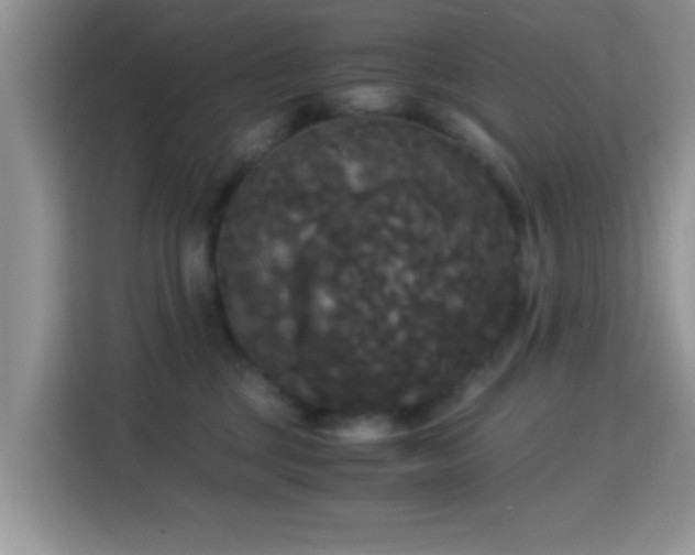 X0000115340377200911091310