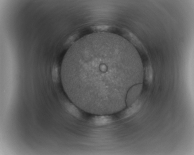 X0000115340378200911091310