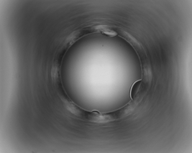 X0000115340379200911091310