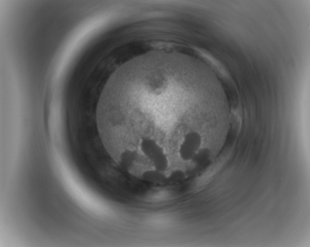 X0000115340381200911091310