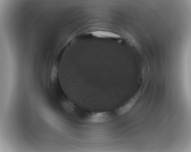 X0000115340382200911091310