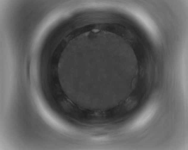 X0000115340383200911091310