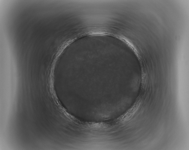 X0000115340385200911091309