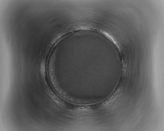X0000115340386200911091309
