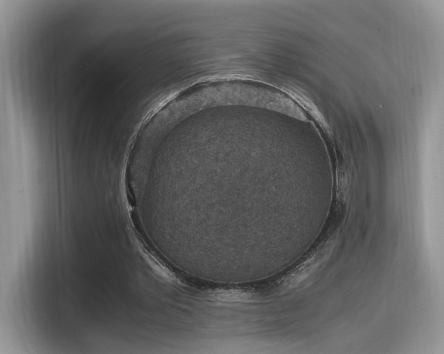 X0000115340389200911091309