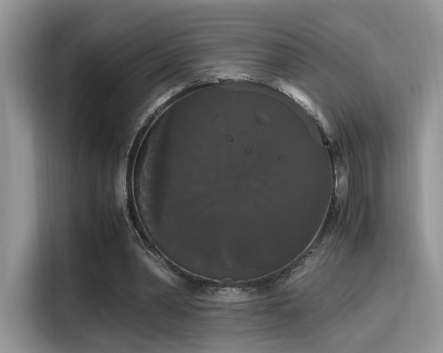 X0000115340390200911091309