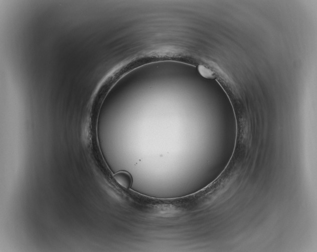 X0000115340392200911091309