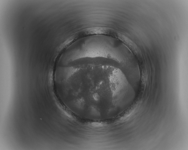 X0000115340394200911091309