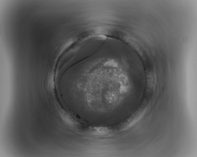 X0000115340395200911091309