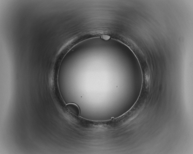 X0000115340396200911091309
