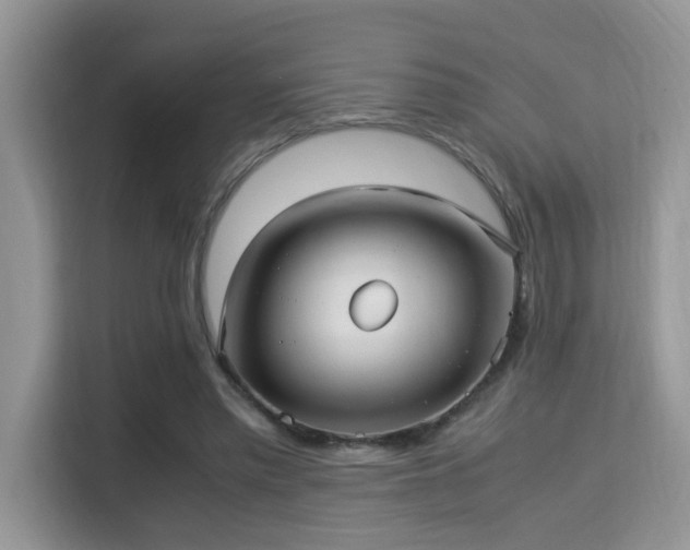 X0000115340397200911091309