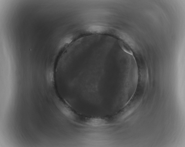 X0000115340399200911091309