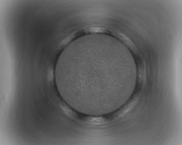 X0000115340401200911091309