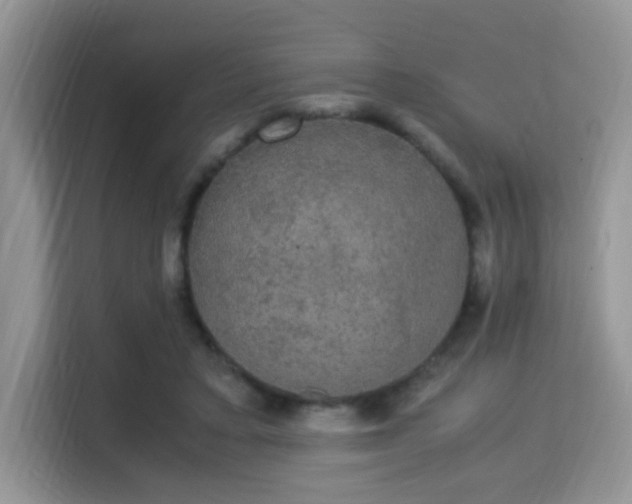 X0000115340403200911091309